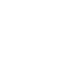 WOER TIER 2  (PC)